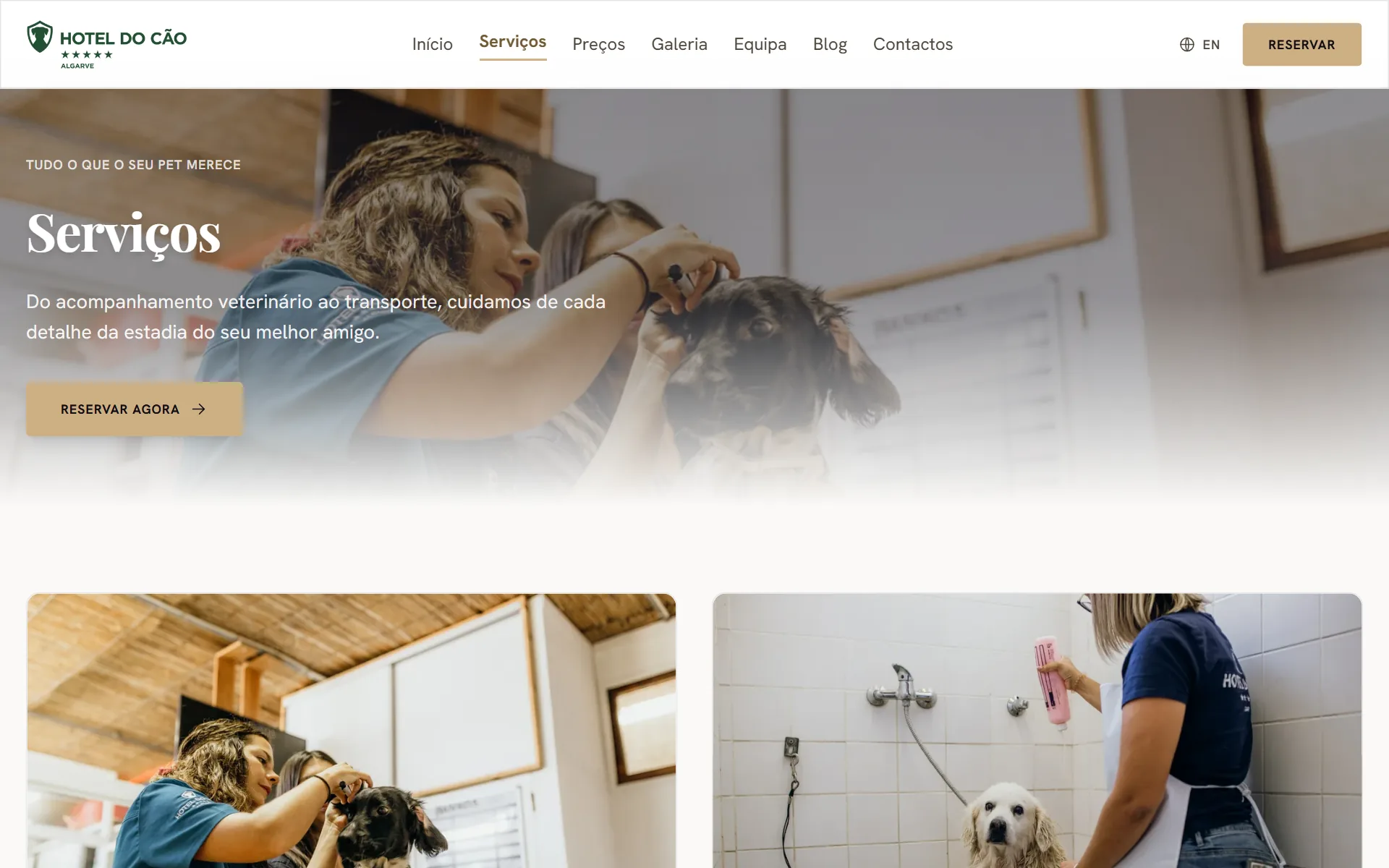A página de serviços no computador, com fotografias da equipa a tratar dos cães.